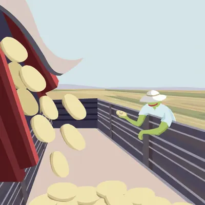 Potato harvest on a Hot day