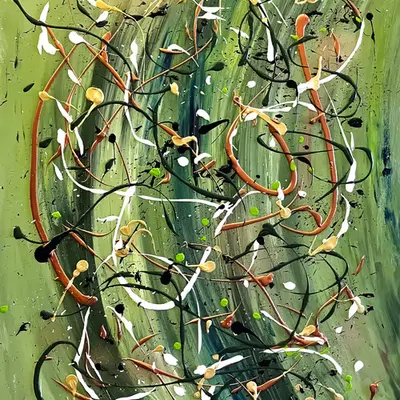 I R I S - 0021 