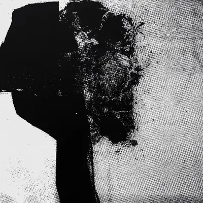 scrnprnt_dtl_009