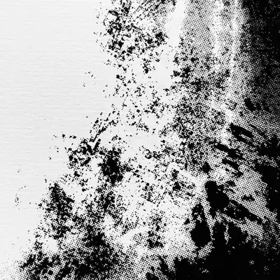 scrnprnt_dtl_010