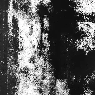 scrnprnt_dtl_011