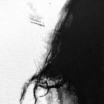 scrnprnt_dtl_006