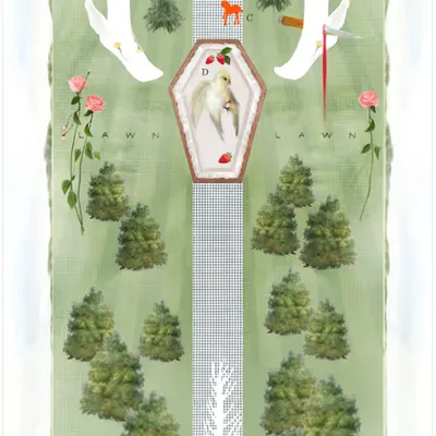 MAP (EQUESTRIAN)