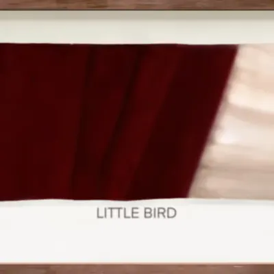 CR-23-03 Little Bird