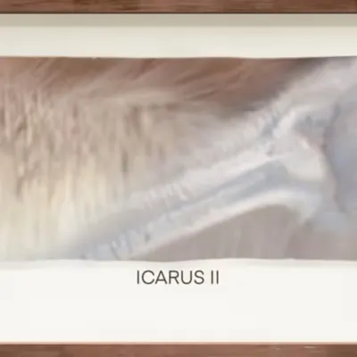 CR-22-41 Icarus II