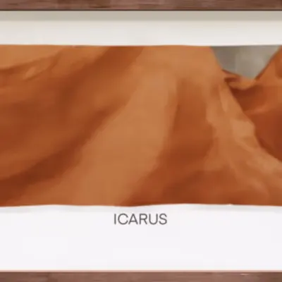 CR-22-40 Icarus