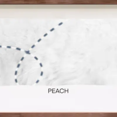 CR-22-37 Peach
