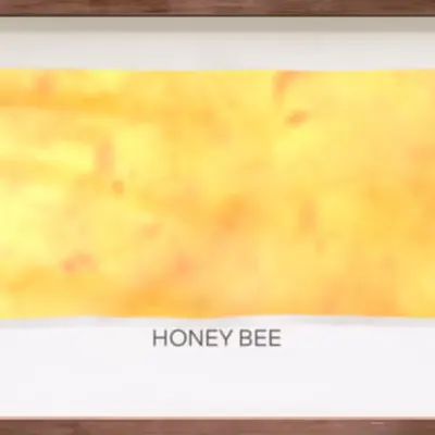 CR-22-31 Honey Bee