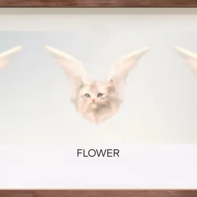 CR-22-29 Flower