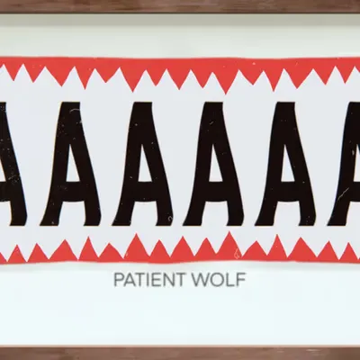 CR-22-27 Patient Wolf