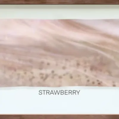 CR-22-20 Strawberry