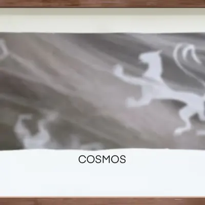 CR-22-17 Cosmos