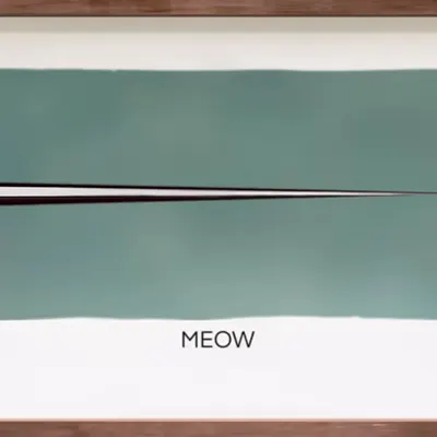 CR-22-15 Meow