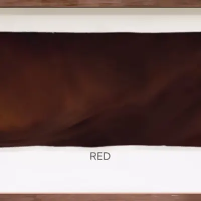 CR-22-01 Red