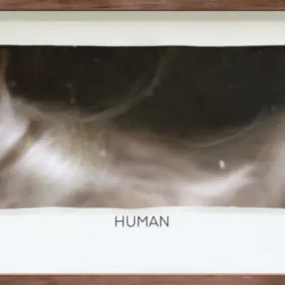 CR-23-07 Human