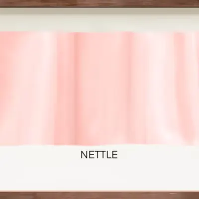 CR-21-70 Nettle