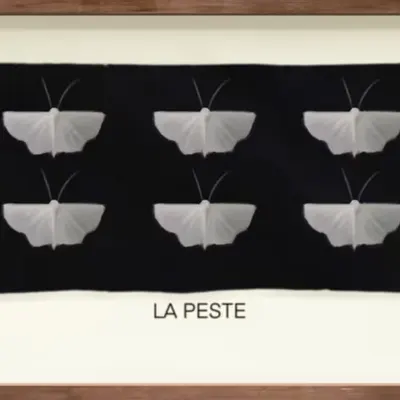 CR-21-65 La Peste