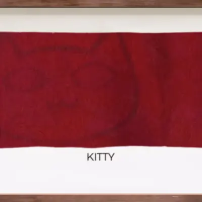CR-21-58 Kitty