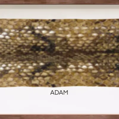 CR-21-57 Adam