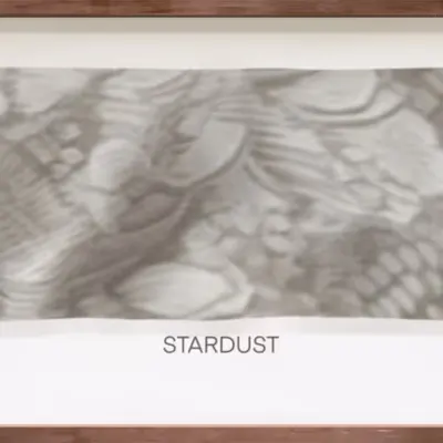 CR-21-45 Stardust