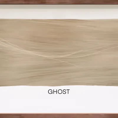 CR-21-48 Ghost