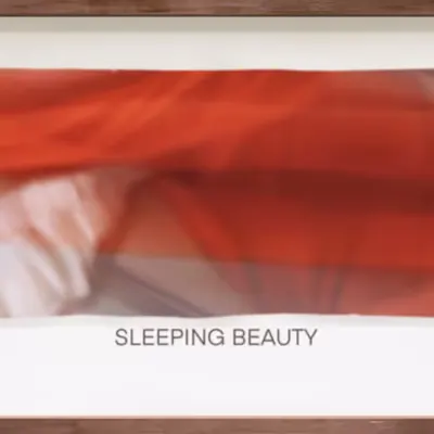 CR-23-04 Sleeping Beauty