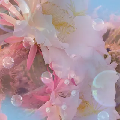 Floral spell