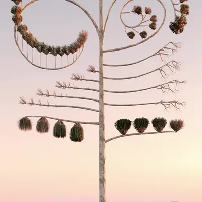 Natural Balance V #1/20