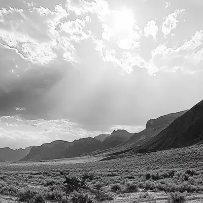 //vBANNER: nature 3 by OG