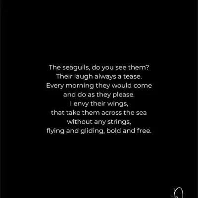 Seagulls