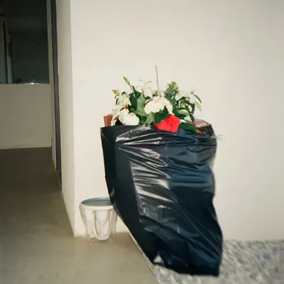 💐🗑️