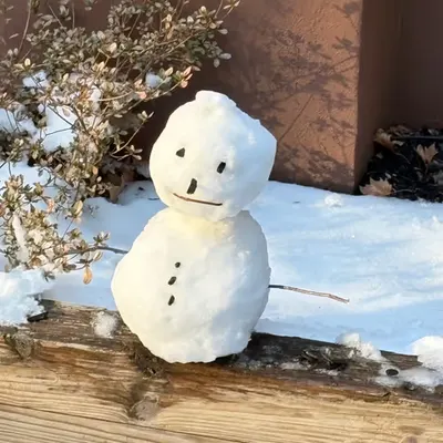 ⛄️