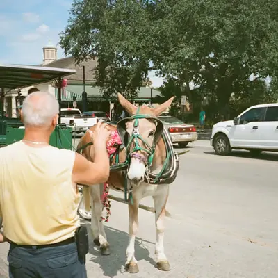 🐴