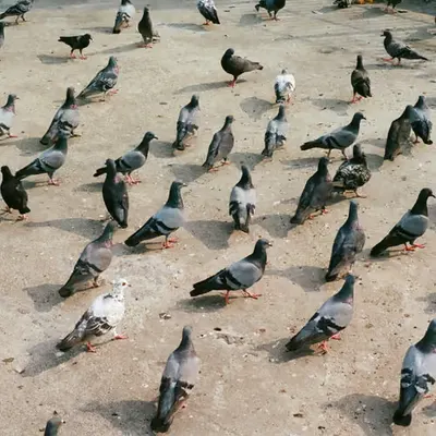 🐦‍⬛🐦‍⬛🐦‍⬛🐦‍⬛🐦‍⬛🐦‍⬛🐦‍⬛🐦‍⬛🐦‍⬛🐦‍⬛