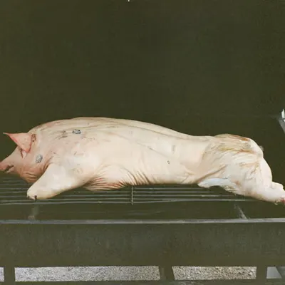 🐖