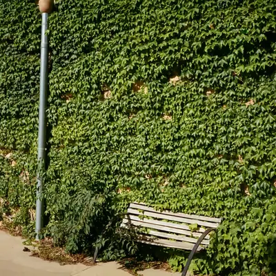 🍃🪑🍃