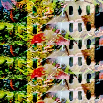 DVSLK.18