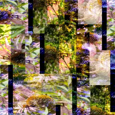 DVSLK.14