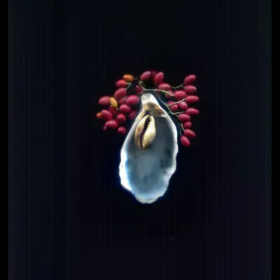 Oyster 5/12