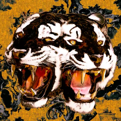 Rawr #4