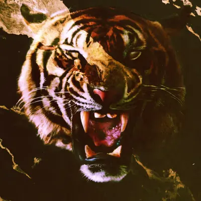 Rawr #6