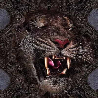 Rawr #7