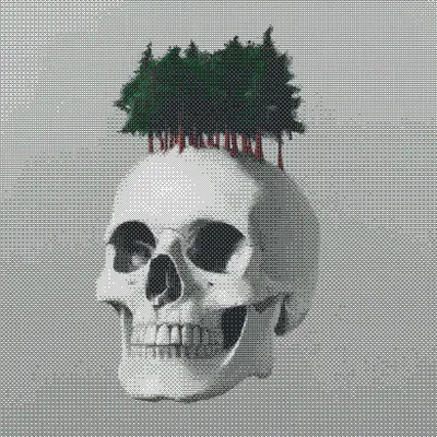 Rebirth