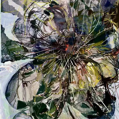 Chrysanthemums blue 100C