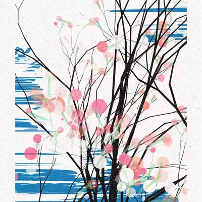 The Blossoms Behind the River