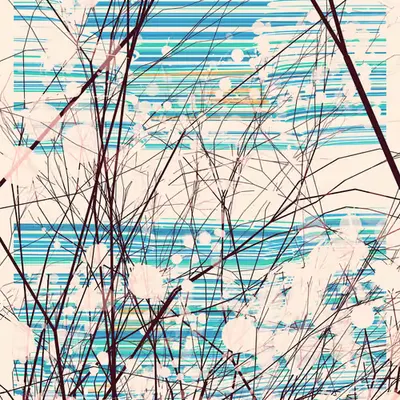 The Blossoms Behind the River