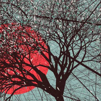 A Portrait of the Tree