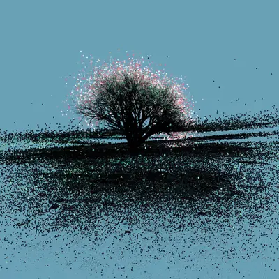 A tree in the distance