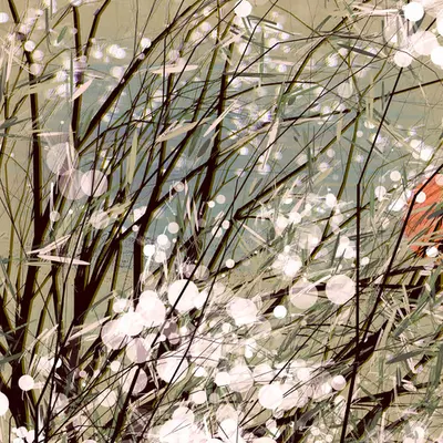 Conversation with the wind