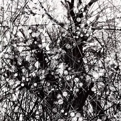 conversation with the wind